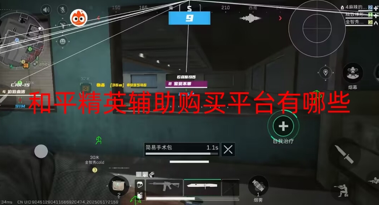 和平精英辅助购买平台有哪些-和平直装【不
